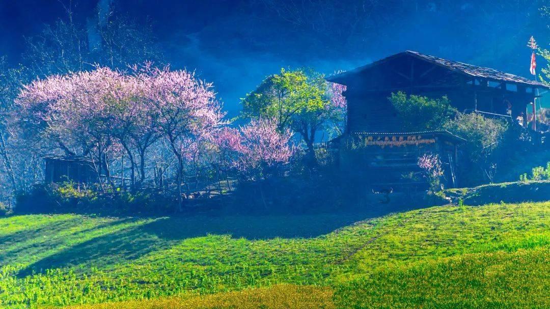 如何评价杨颖在电影《寻龙诀》中的造型？游戏画面